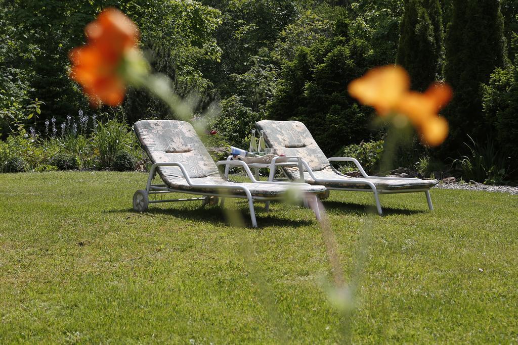 Hotel Waldblick Kniebis Extérieur photo